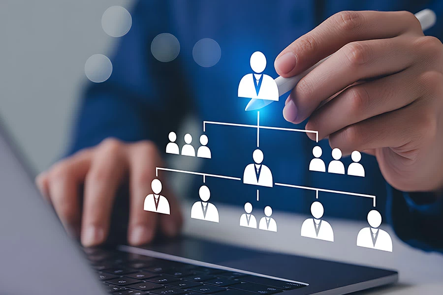 organizational structure